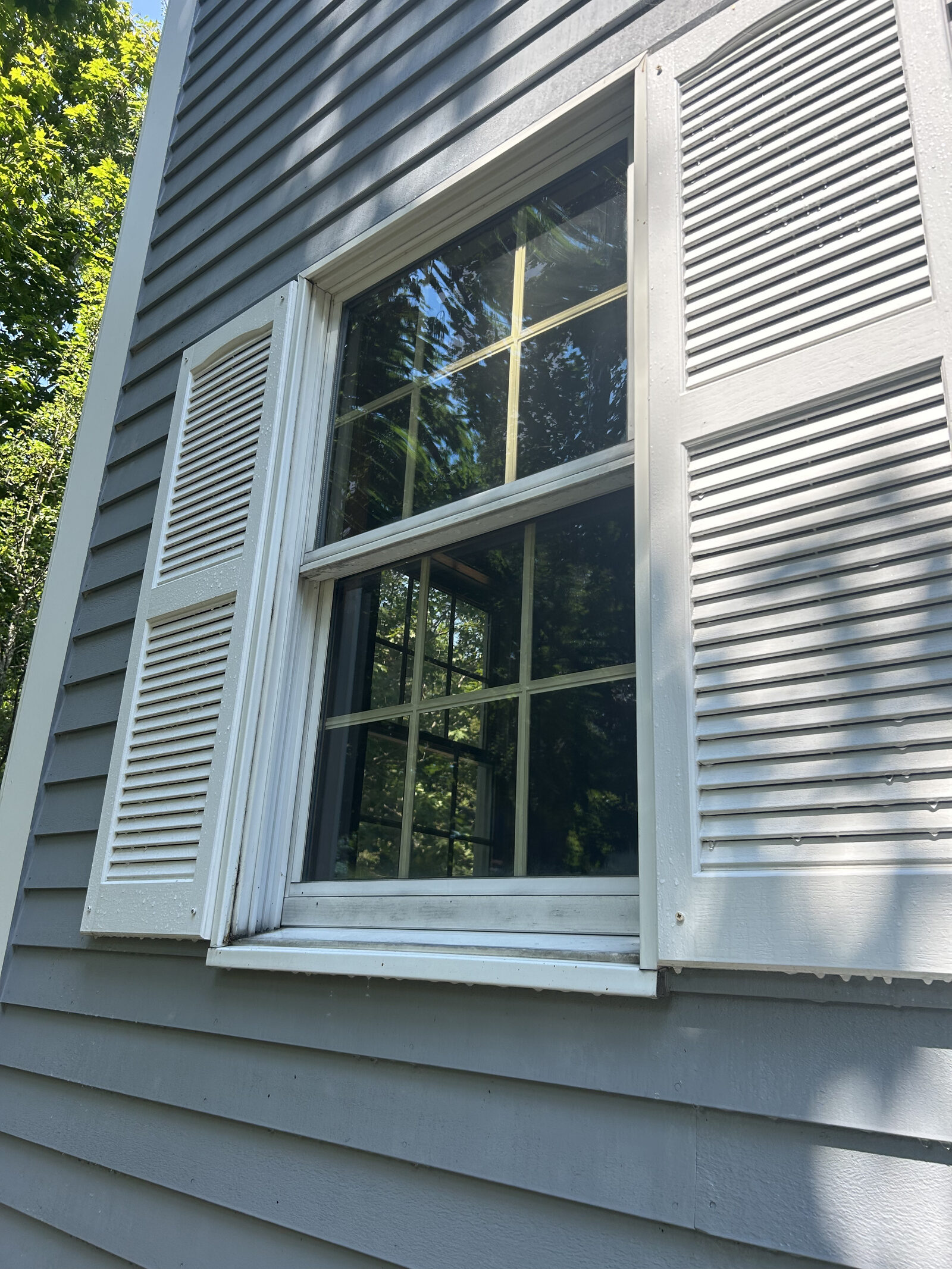 After: sparkling clean windows